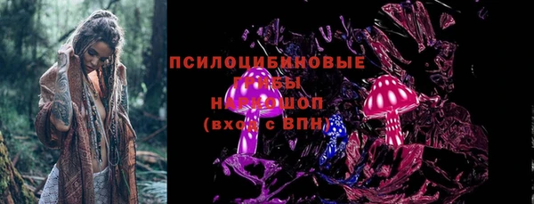 твердый Алзамай