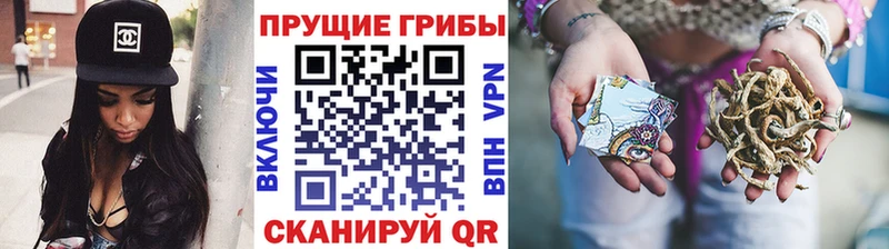 Галлюциногенные грибы Cubensis Яблоновский